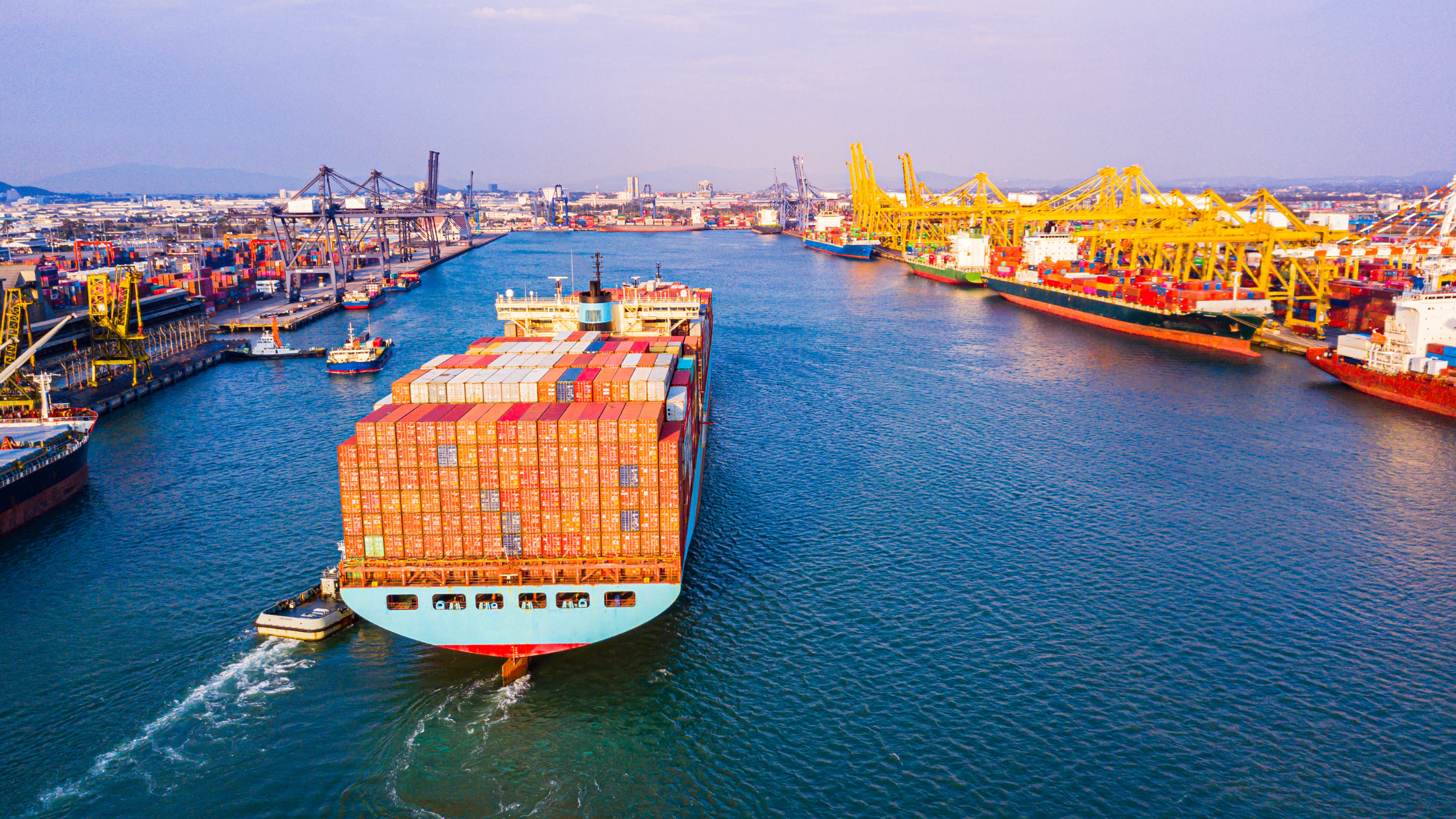 5_Things_to_Consider _Before_Setting_Up_your_Import_Business